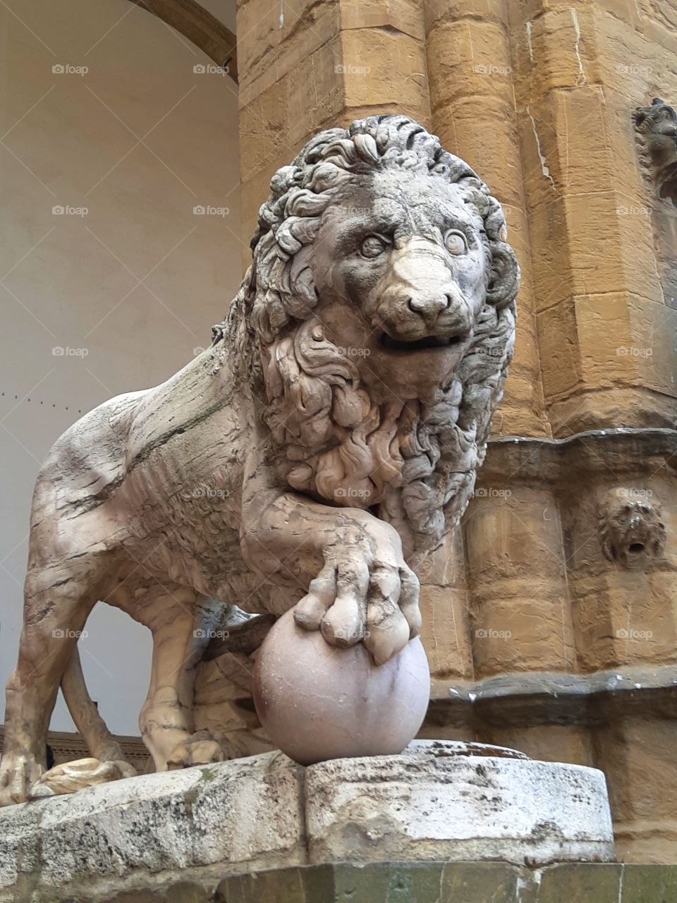 The Lion in Florence