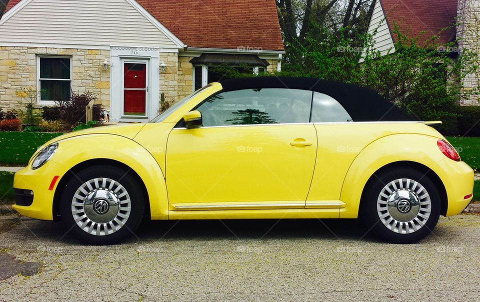 Automobile . Yellow Bug