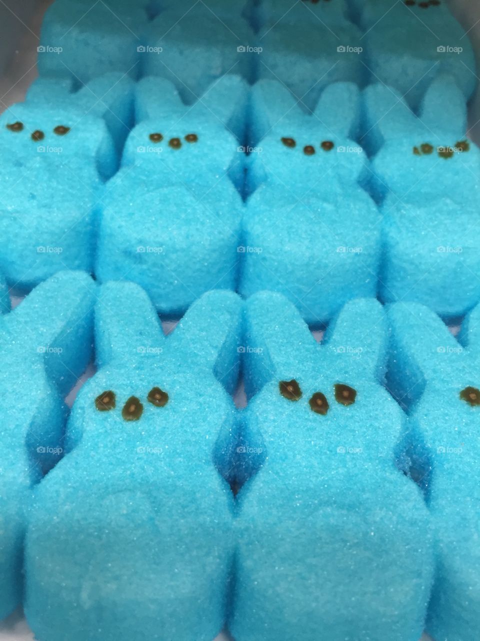 A sea of blue peeps 