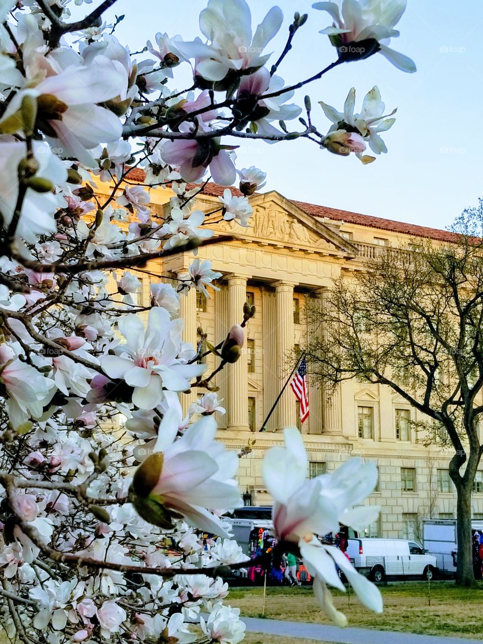 Department of Justice