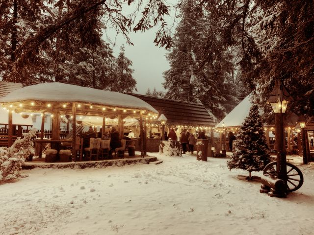 Winter wonderland 