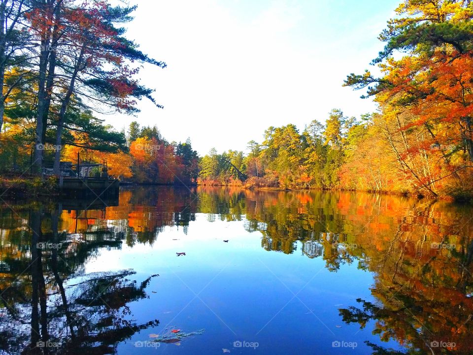 fall kayaking in the pine Barrens of new jersey