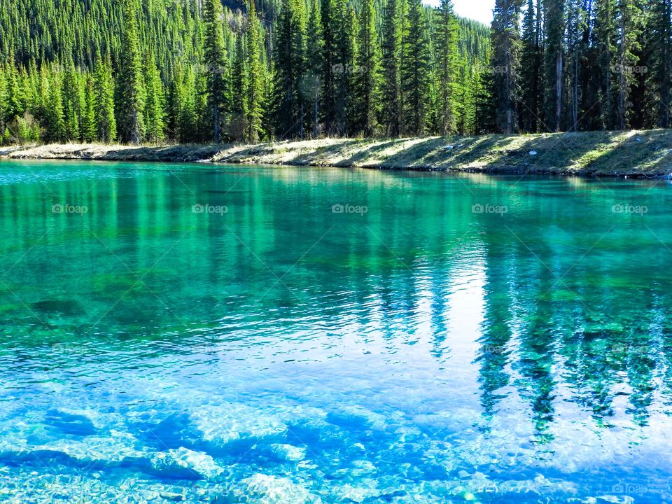 The Ram River in Alberta