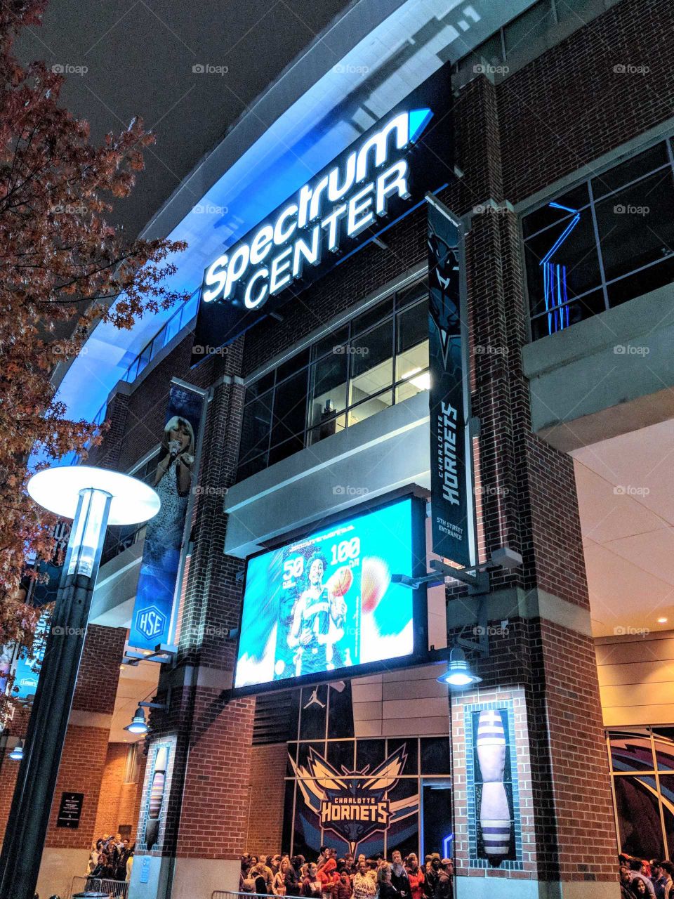 Charlotte basketball