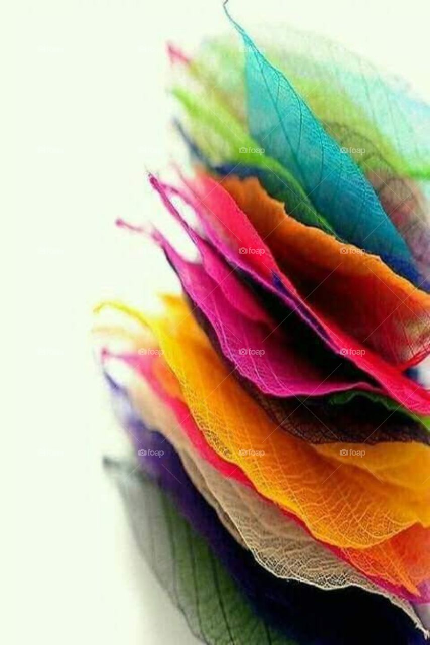 Colorful cottons -. “The soul becomes dyed with the color of its thoughts.” ...

“Color is a power which directly influences the soul.” ...