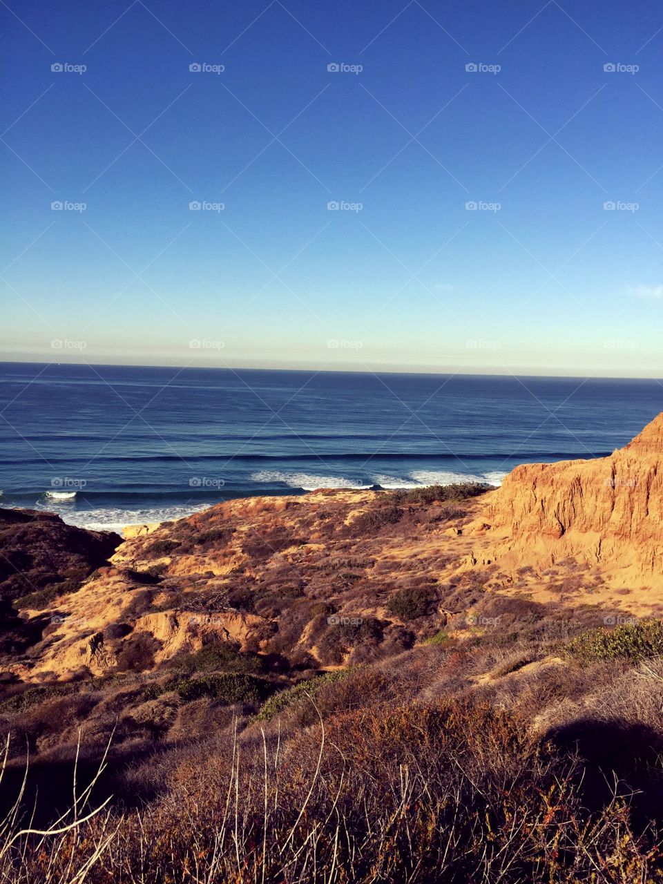 Torrey Pines Reserve