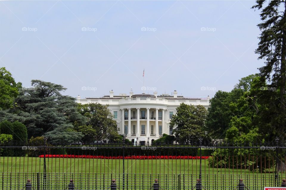 White House