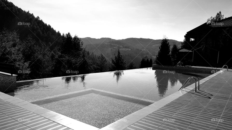 monochrome pool and forest
