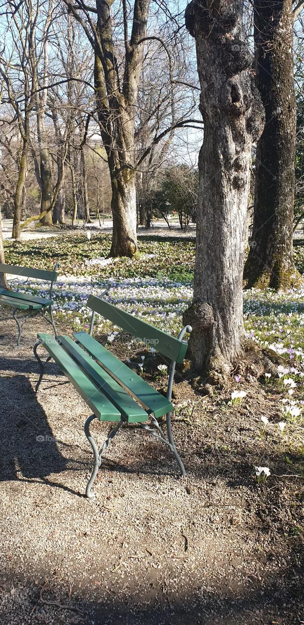park