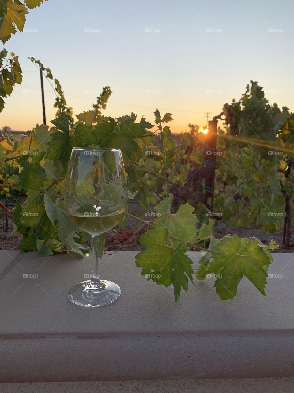 A little wine and a sunset