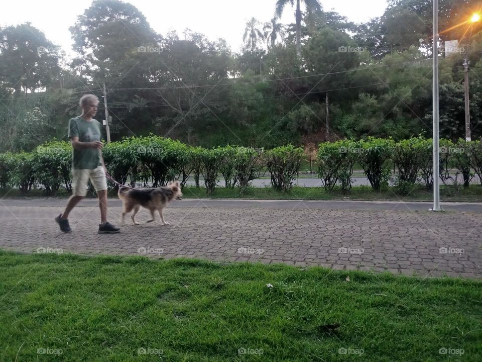 A man walking with his dog in the afternoon