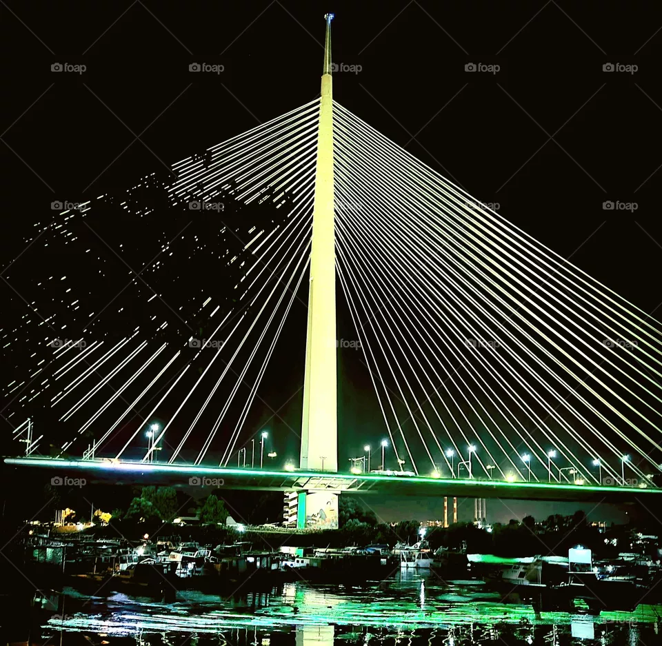 the bridge