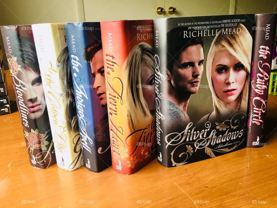 The spin-off of Vampire Academy, Bloodlines, also by Richelle Mead. Another amazing series that I couldn’t get enough of and was sad when it ended. The fifth book: Silver Shadows. 