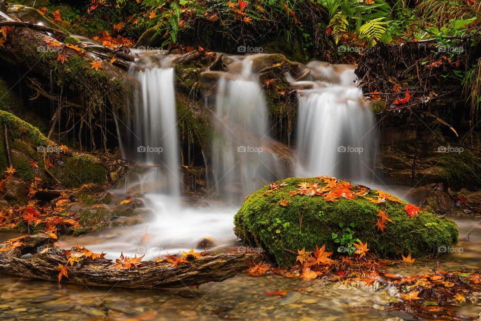 Beautiful valley and water fall scenery