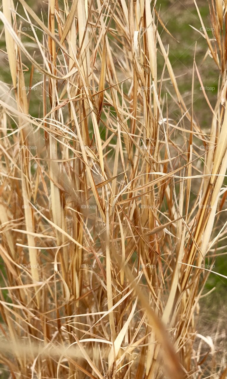 Blowing in the Breeze