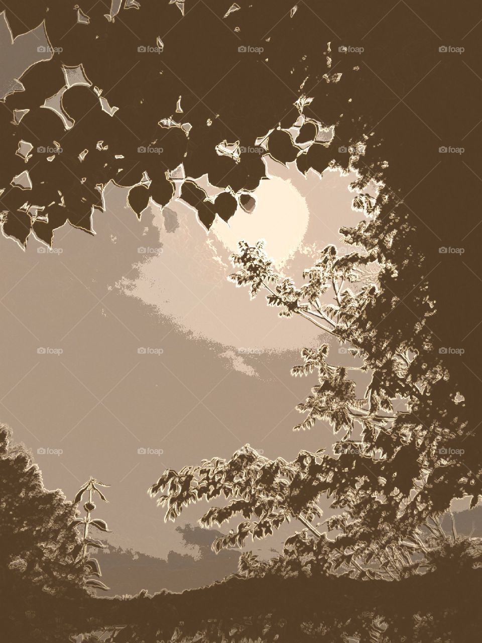 Trees capturing the moon