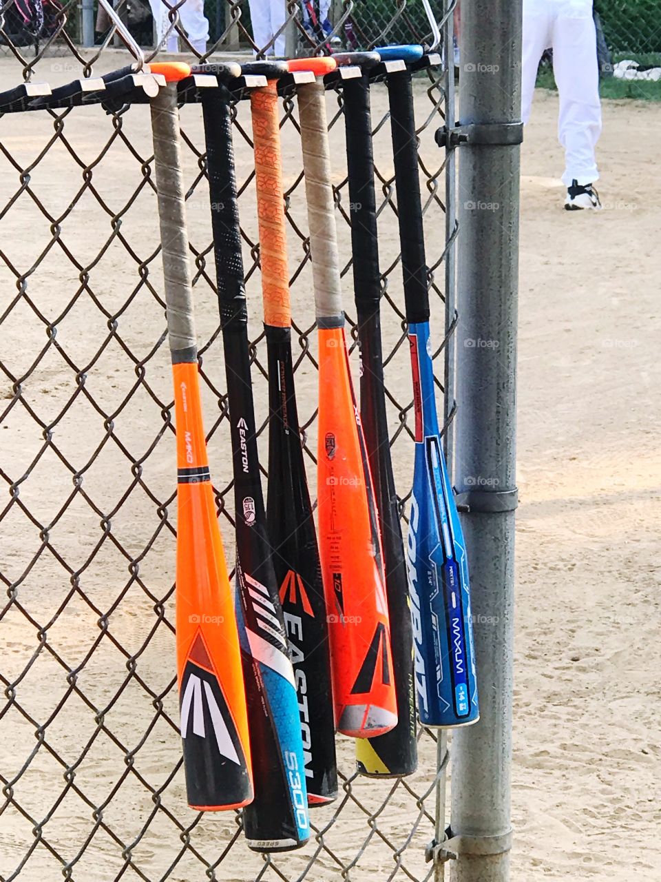 Row of baseball bats