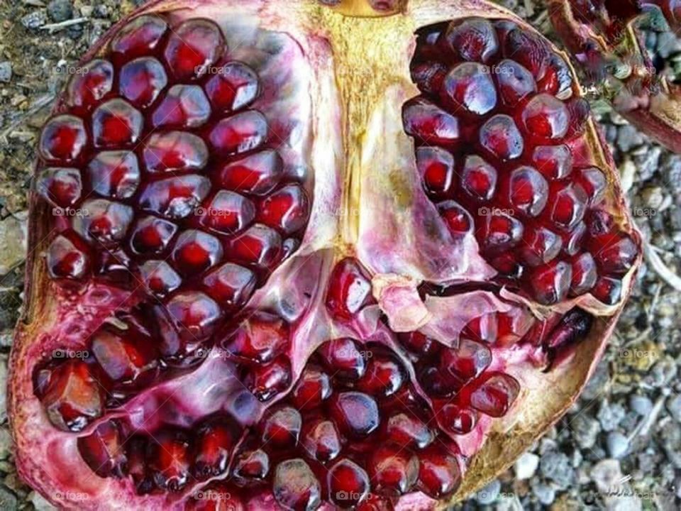 Pomegranate fruit