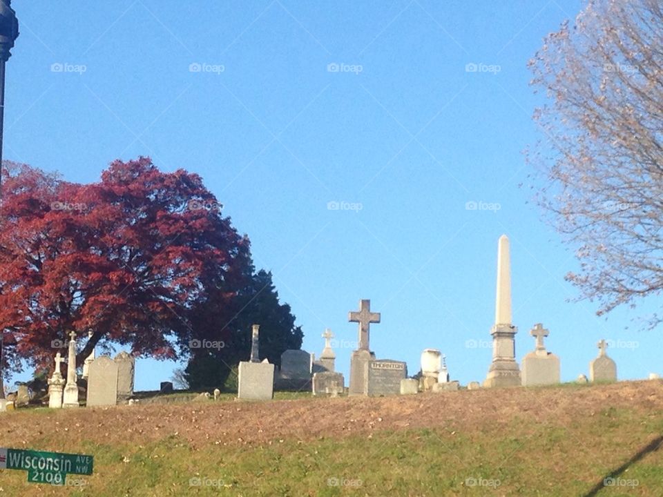 Cemeteries  