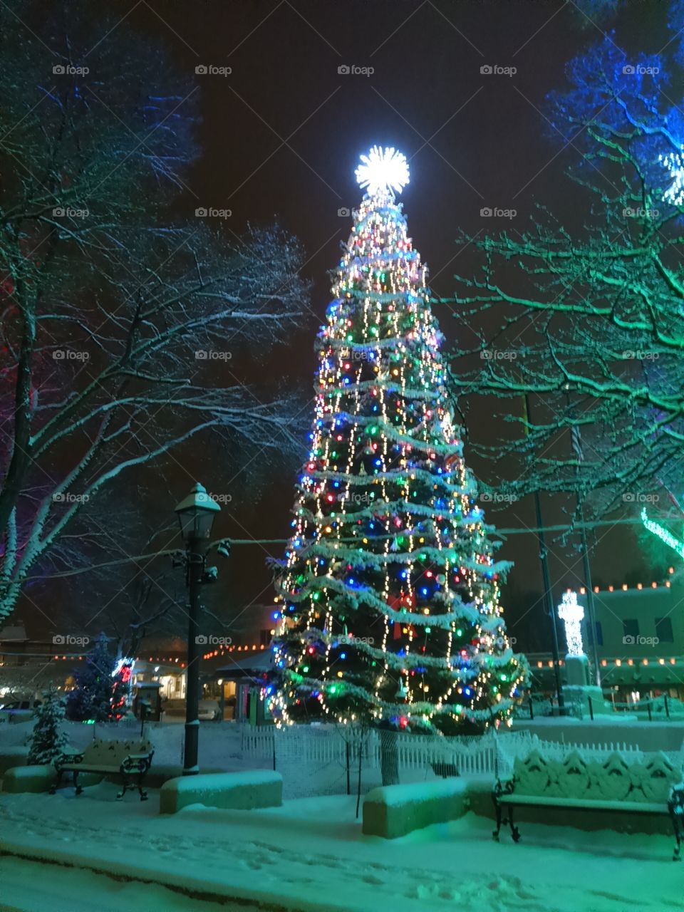 Outdoor Christmas tree twinkling on snowy night in Plaza
