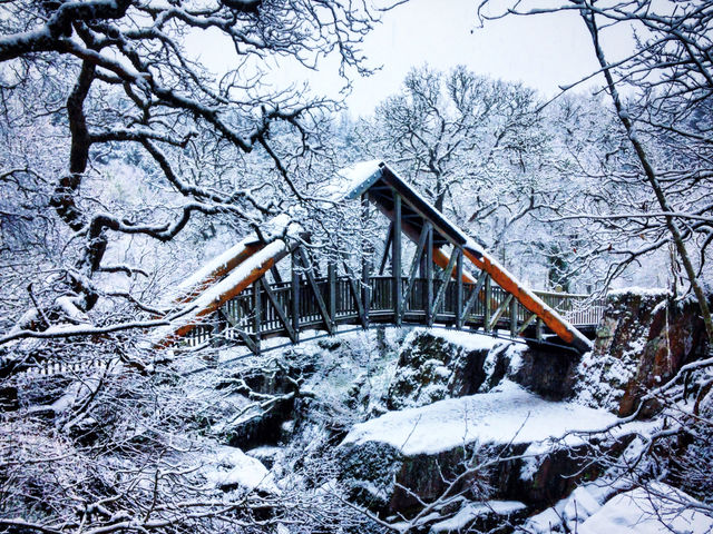 Snow-covered bridge over the Bracklinn Falls in Callander, Scotland. A beautiful winter day hiking in the snowy forest.