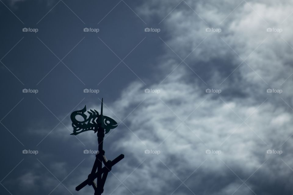 fish on the in france