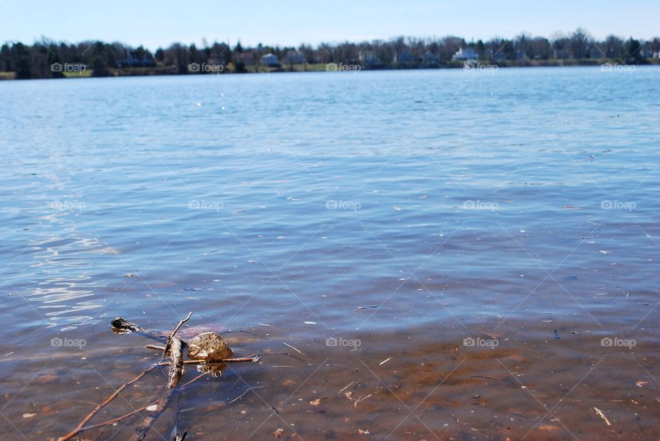 Stop Litter
Don't Litter
Clean Up