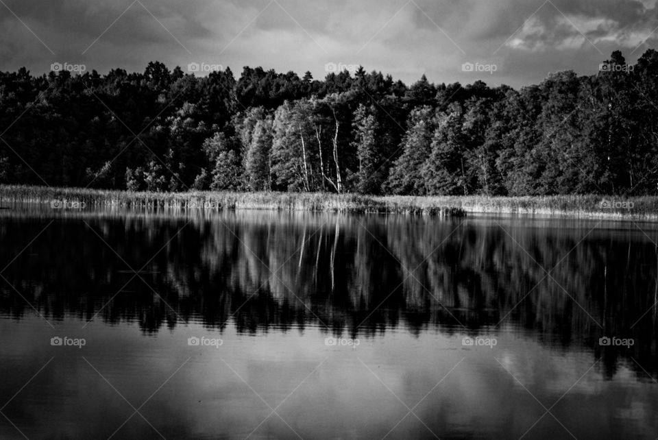 Scenics view of idyllic lake