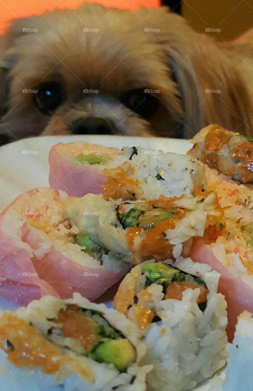 Sushi love