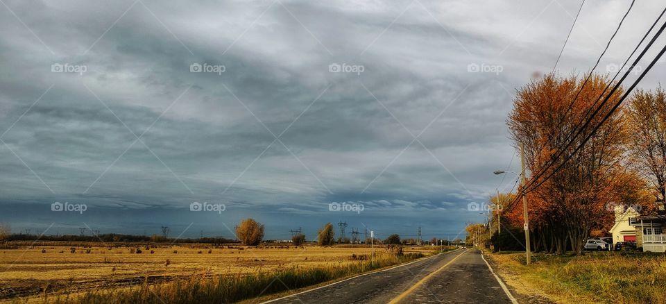 Autumn road, field and cloudy sky