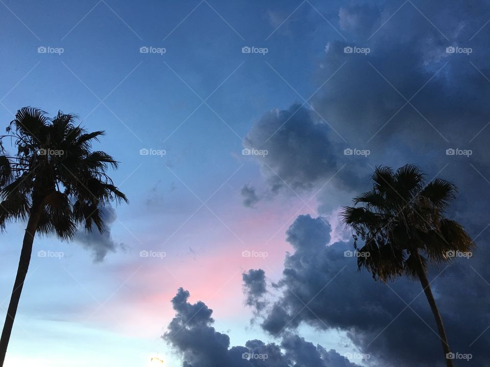 Beautiful ORLAND Sky 