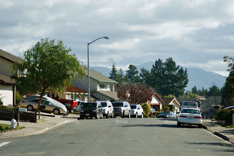 Town landscape 