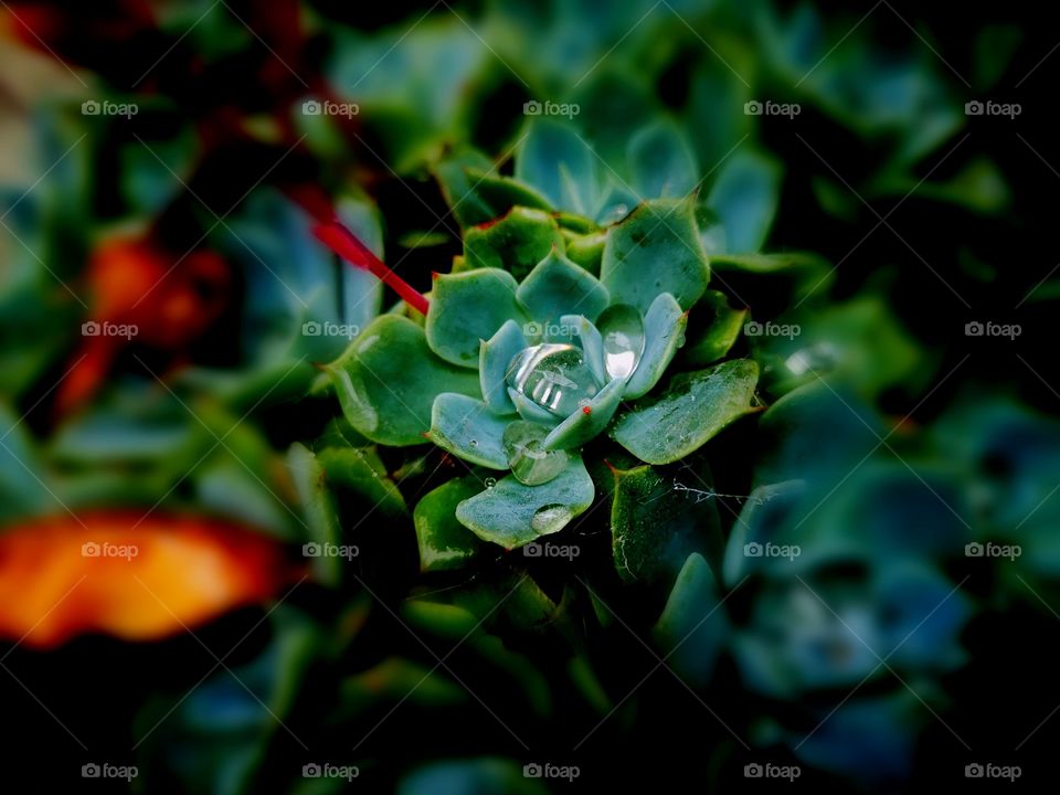 Holding the source of life.