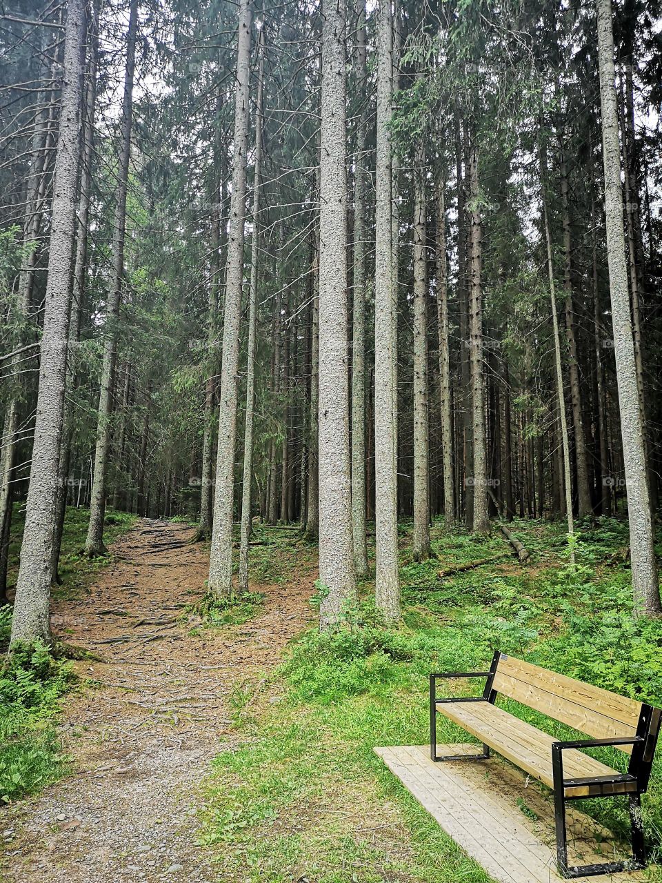 From Nature 2 Product