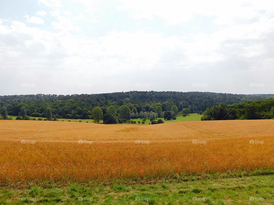 Nature as far as the eye can see