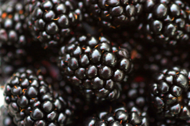 Blackberries