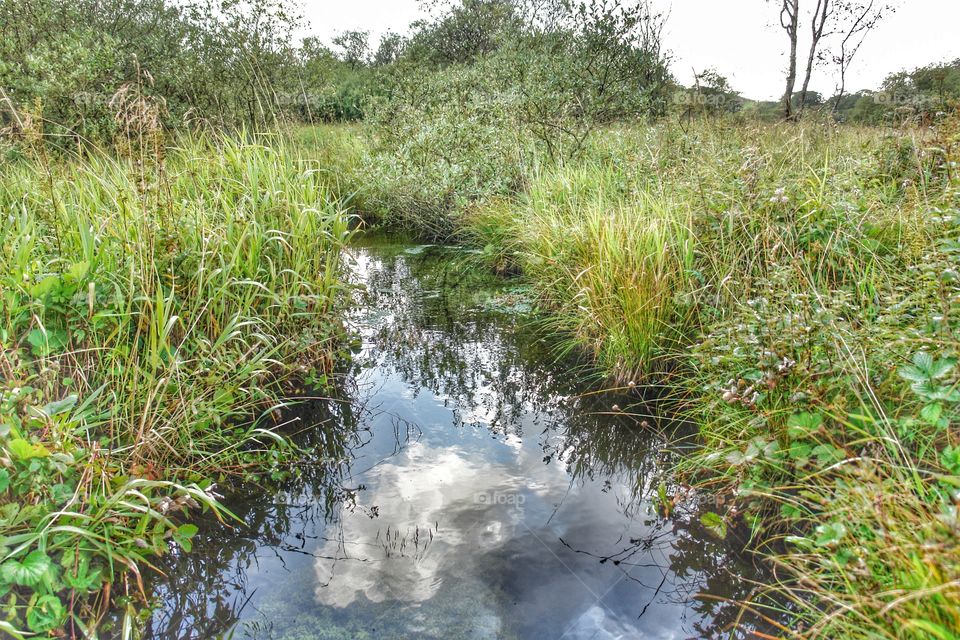 Tarn Moss, Clouds Reflected on water. Tarn Moss, Malham Tarn, Yorkshire 