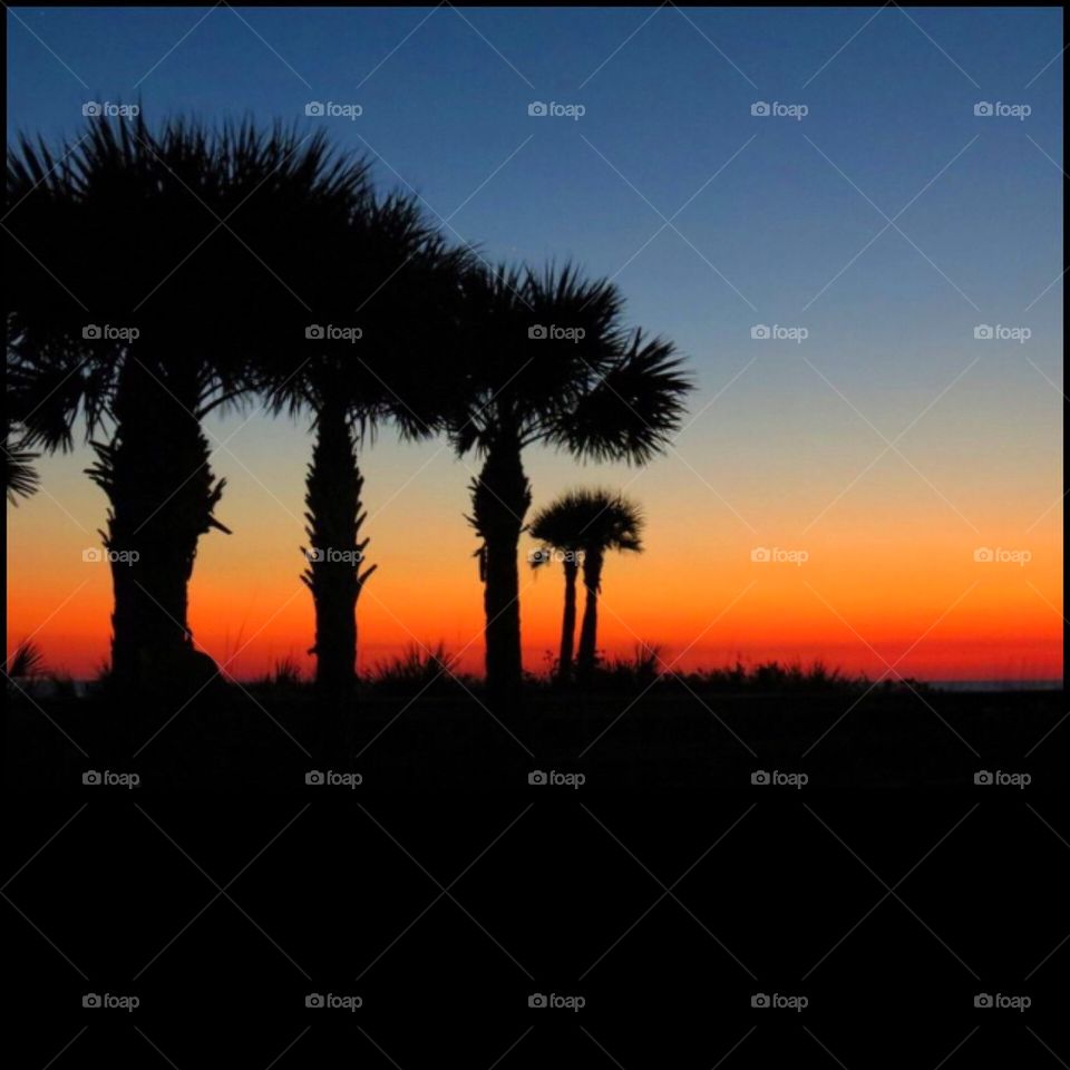 Florida sunsets 