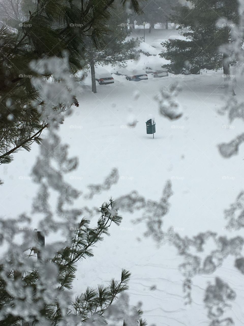 Blizzard 2016 - Northern Virginia