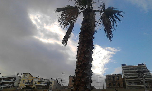 city