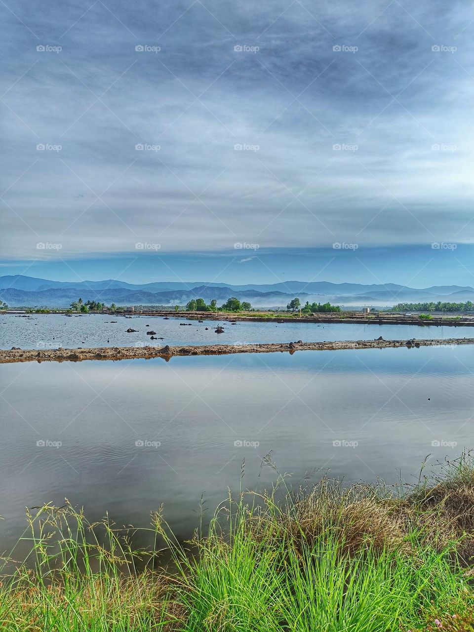 Shrimp pond in the village