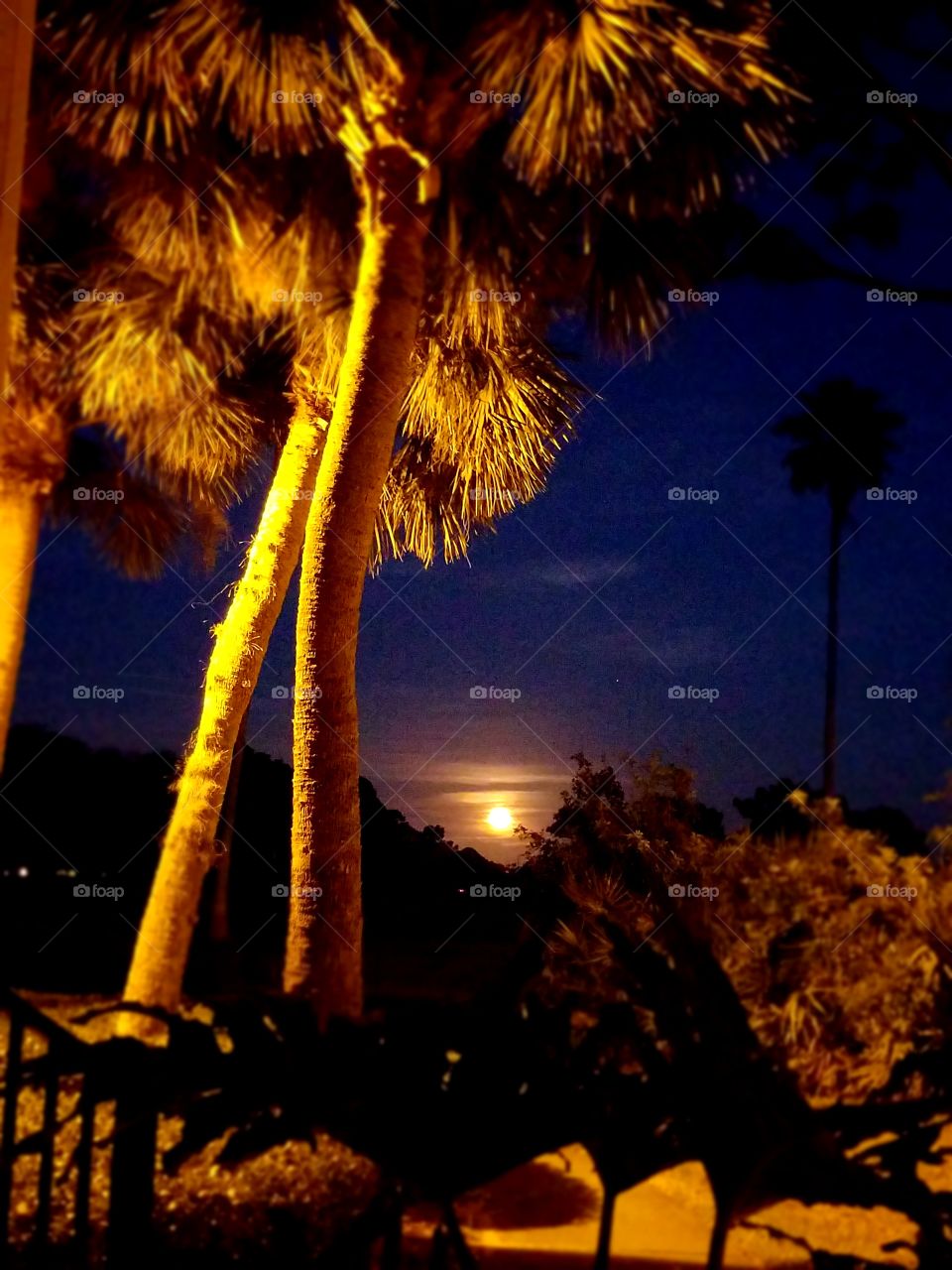 Super Moon, December 2017