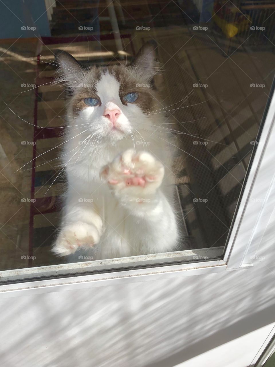 Let me out please!