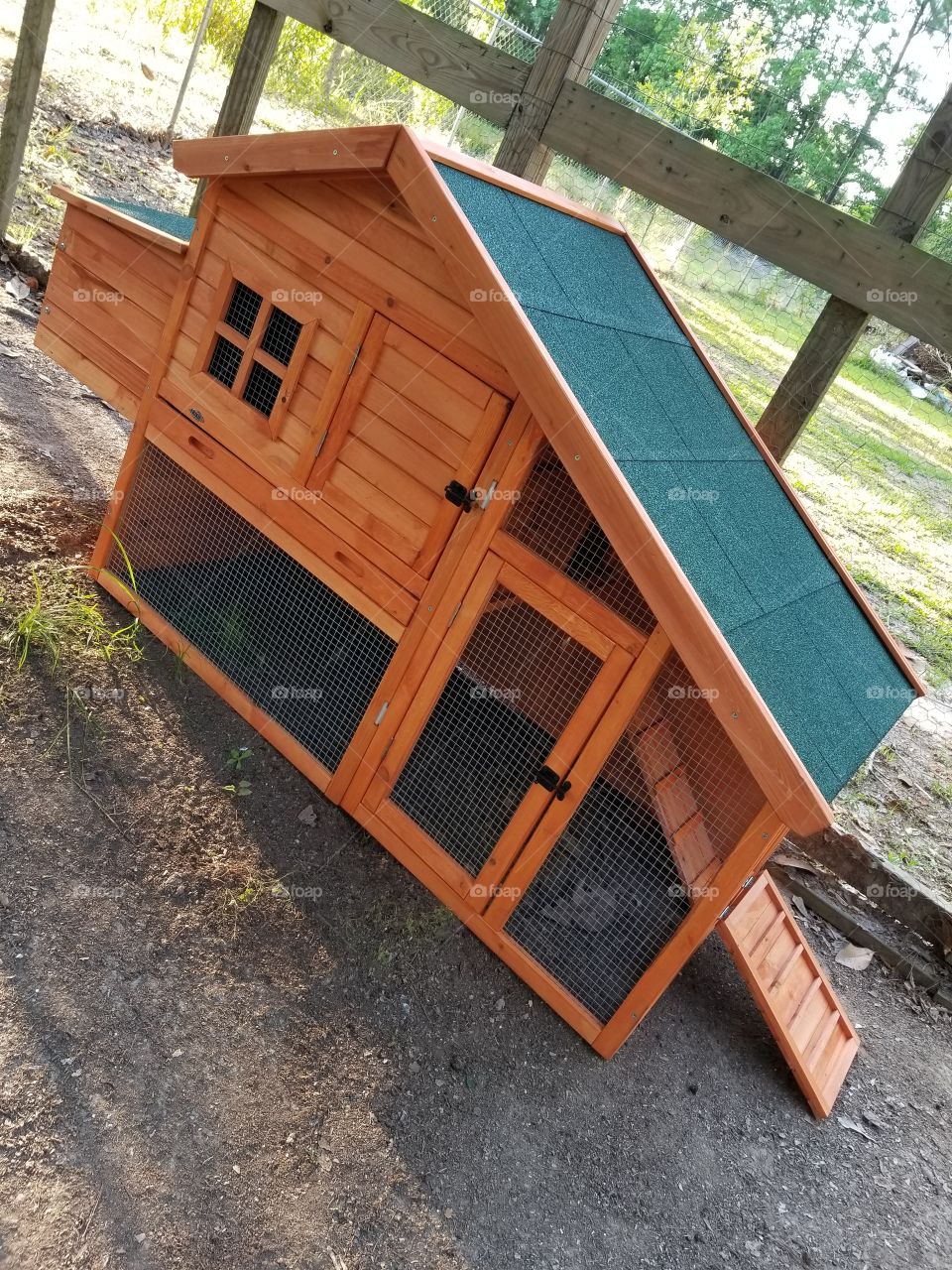 New chicken coop
