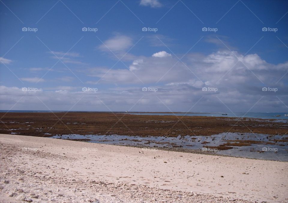 Island Low Tide