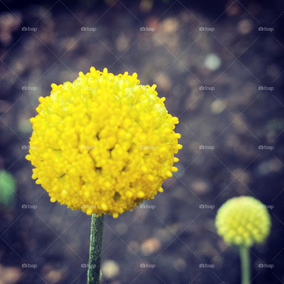 Crashpedia/Trommelstöckchen