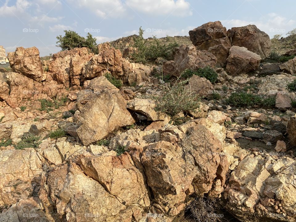 Taif mountains ⛰ rocks ,desert , amazing herbal 