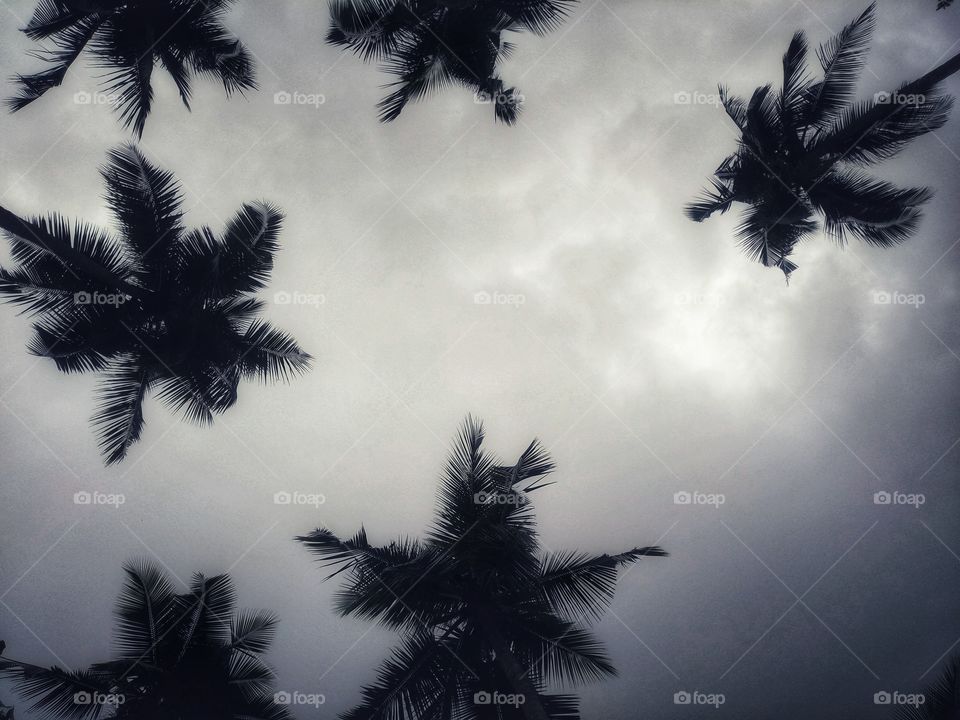 a cloudy day without my umbrella 🤥......