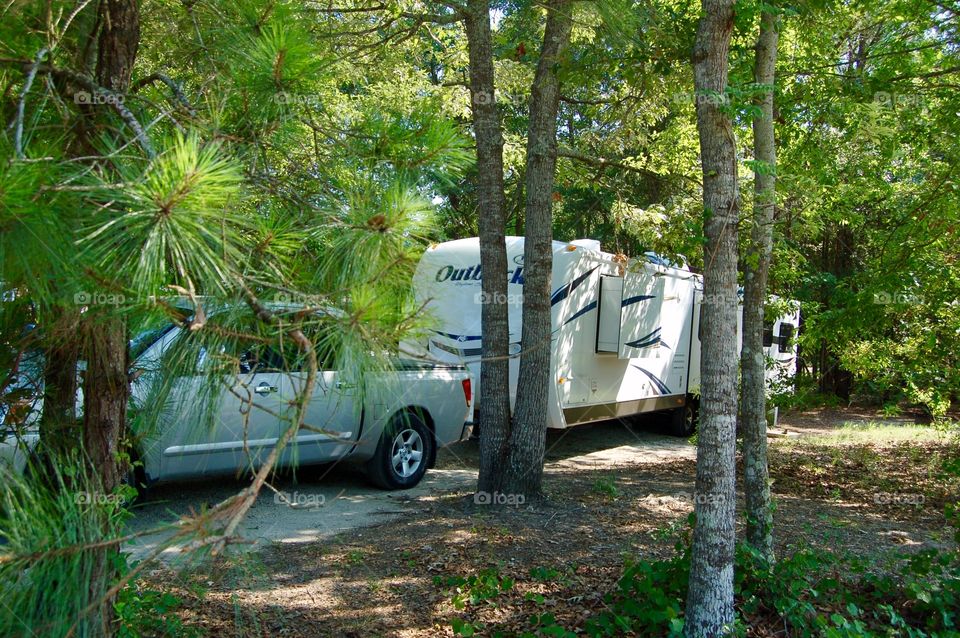 Camping In The Trees