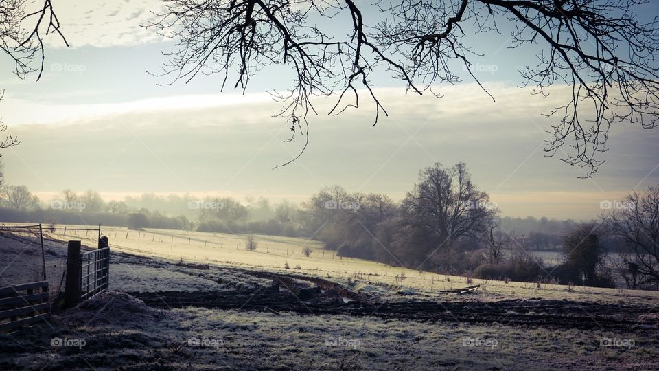 Winter countryside scene